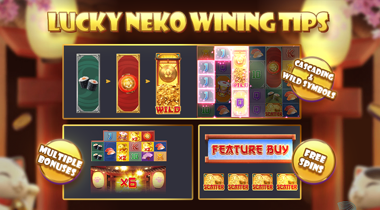 Lucky Neko Wining Tips
